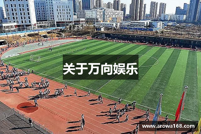 关于万向娱乐
